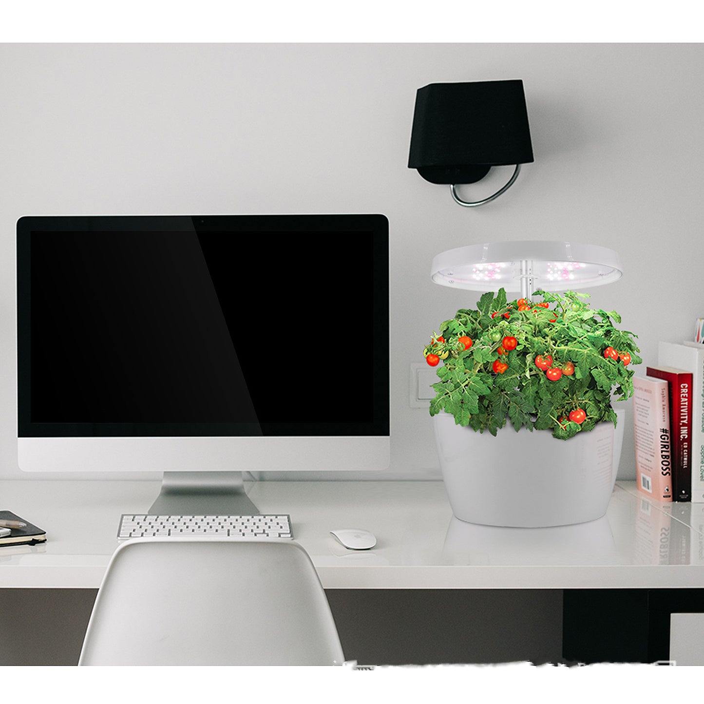 Hydroponic Plant growth machine