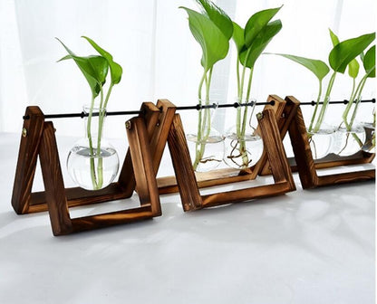 Glass Tabletop Planter