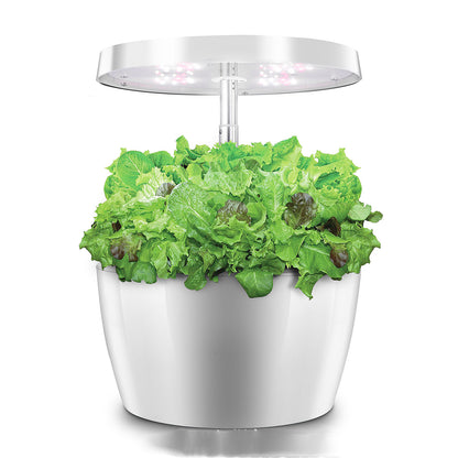 Hydroponic Plant growth machine