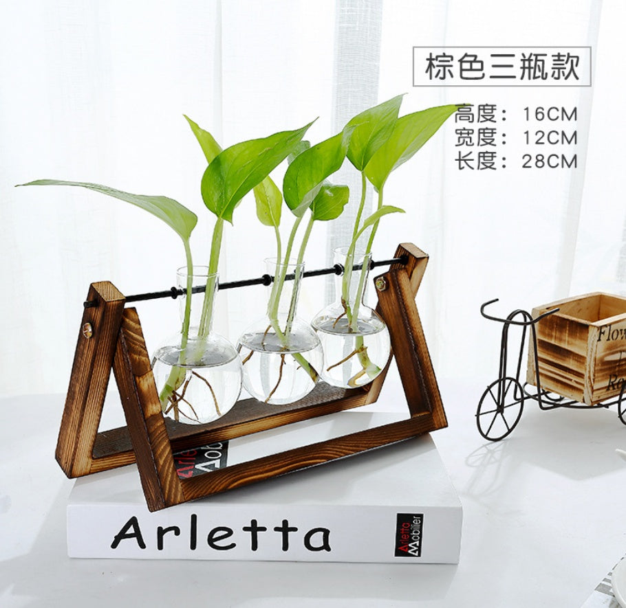 Glass Tabletop Planter