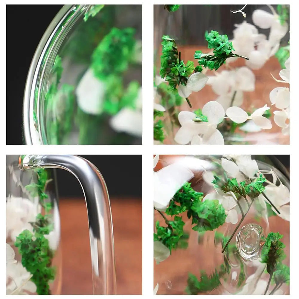 Double Wall Glass Mugs Dried Flower Coffee Glass Mug Beverage Glasses Tea Mug Cups Double Wall Glass Mug for Cold